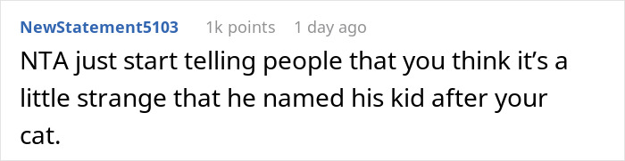 Screenshot of a forum comment discussing a friend who claims a cat name for their newborn child. Screenshot of a forum comment discussing a friend who claims a cat name for their newborn child.