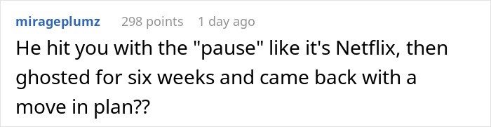 Screenshot of a social media comment discussing a man disappearing for weeks before returning with a plan after partner adopts dog.