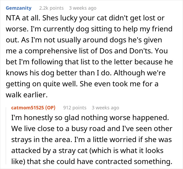 Reddit conversation about cat-sitting, discussing concerns and responsibilities of a cat-sitter in pet care situations.