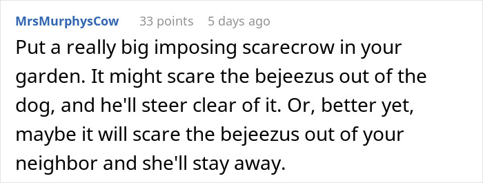 Comment suggesting to use a big scarecrow in the garden to stop a barking dog, highlighting neighborhood drama. Comment suggesting to use a big scarecrow in the garden to stop a barking dog, highlighting neighborhood drama.