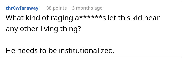 Screenshot of a harsh comment on a forum about a babysitter refusing to watch one specific child amid discrimination claims.
