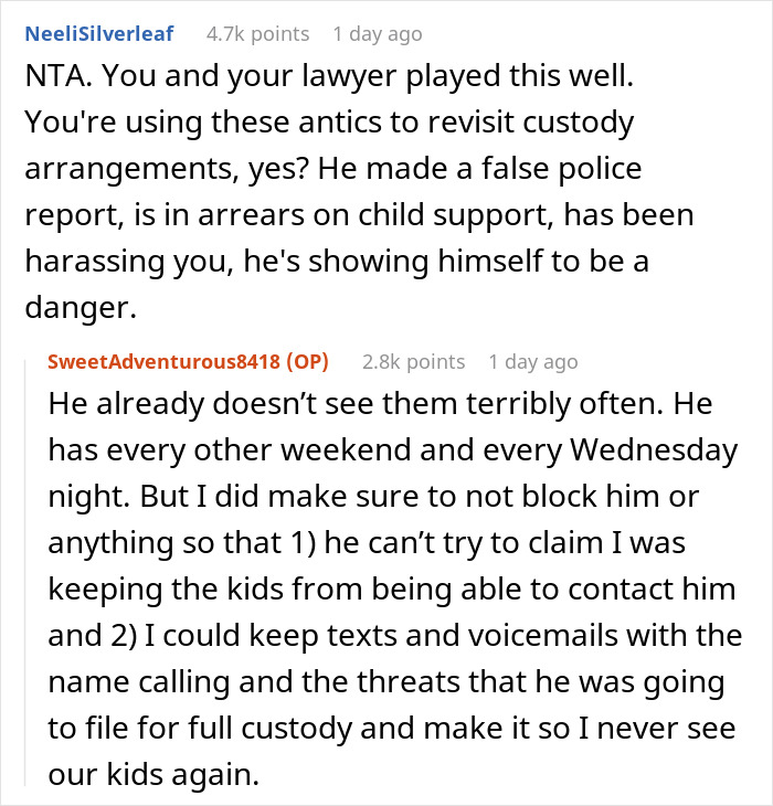 Screenshot of a Reddit conversation discussing legal custody and child support issues involving a woman and her ex.