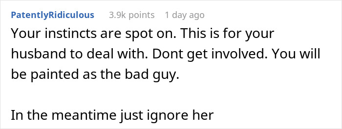 Screenshot of a Reddit comment advising to avoid involvement in a greedy SIL dispute over a brother’s new house. Screenshot of a Reddit comment advising to avoid involvement in a greedy SIL dispute over a brother’s new house.