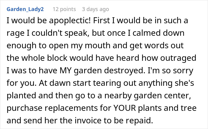 Woman upset after mother-in-law landscaped her garden without permission during vacation return