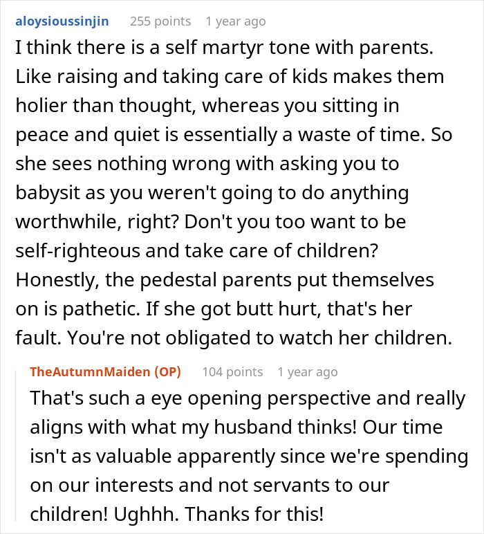 Reddit thread discussing a child-free lady warning her sister about too much babysitting and family conflicts.