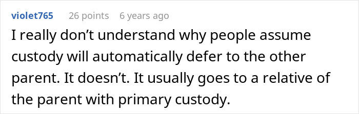 Comment discussing custody assumptions and relatives with primary custody in response to a lice outbreak and CPS reports.