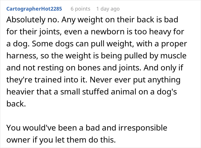 Comment discussing the harm of letting kids ride dogs and criticizing irresponsible pet owners for allowing it.