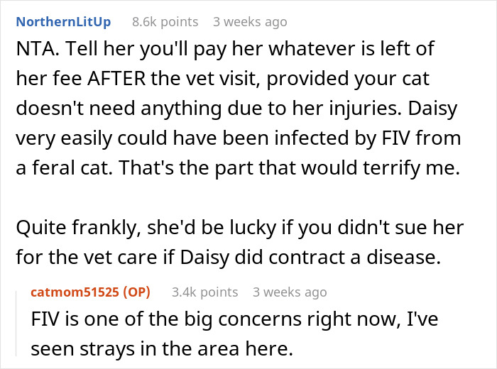 Reddit user discussing concerns about refusing to pay cat-sitter due to potential FIV infection from a feral cat.