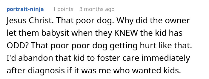 Screenshot of an online comment discussing babysitter refusal and accusations of discrimination related to one specific child.