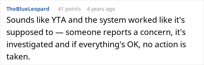 Comment discussing a playground mishap involving a dad and CPS, mentioning concerns and system investigation.