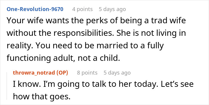Reddit discussion about a woman wanting to be a tradwife and husband explaining the realities of tradwife responsibilities.