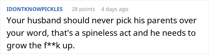 Comment from user IDONTKNOWPICKLES expressing strong opinion on loyalty and calling for maturity in a mil-daughter-surprise-vacation context.