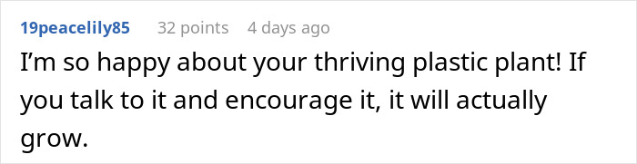 Screenshot of a social media comment about being happy with a thriving plastic plant, related to not letting buddy crash. Screenshot of a social media comment about being happy with a thriving plastic plant, related to not letting buddy crash.