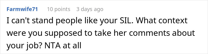 Commenter expressing dislike for SIL's rudeness and defending refusal to babysit niece after rude remarks about job. Commenter expressing dislike for SIL's rudeness and defending refusal to babysit niece after rude remarks about job.