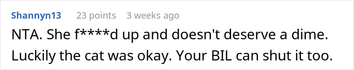 Screenshot of an online comment discussing refusal to pay a cat-sitter after a dispute over cat care.