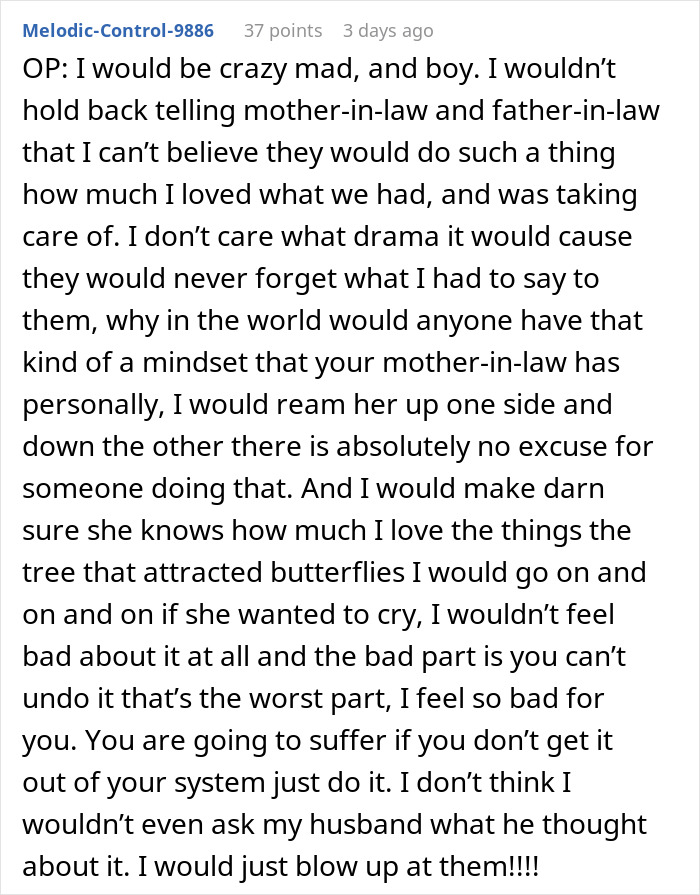 Woman upset after mother-in-law landscaped her garden without permission during vacation return