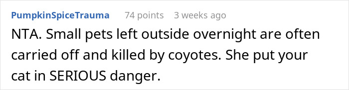 Comment highlighting danger to a cat left outside overnight, related to refusing to pay a cat-sitter for pet safety concerns