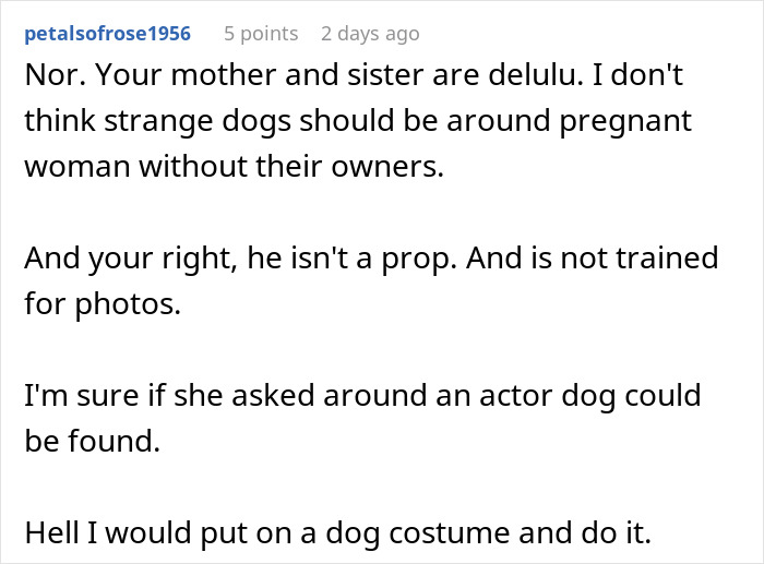 Reddit comment discussing refusing to lend dog for sister’s aesthetic maternity shoot due to dog’s safety and training. Reddit comment discussing refusing to lend dog for sister’s aesthetic maternity shoot due to dog’s safety and training.