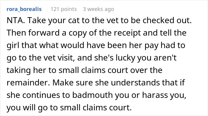 A Reddit comment advising to take the cat to the vet and discuss payment issues with the cat-sitter.
