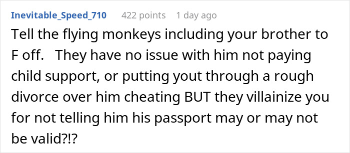 Comment text criticizing family over not warning about passport revocation, with focus on deadbeat ex and airport stranding.