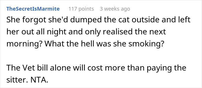 Reddit comment discussing refusing to pay a cat-sitter after the cat was left outside all night.