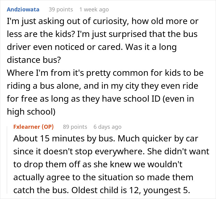 Reddit conversation highlighting concerns over poor parenting and cousin babysitting leading to potential custody loss.