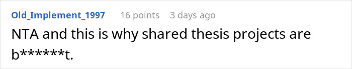 Comment on shared thesis project challenges, highlighting a woman at risk of not graduating for failing to contribute.