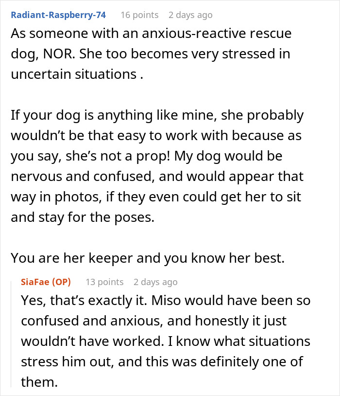 Discussion about refusing to lend a dog for a stressful aesthetic maternity shoot due to the dog's anxiety. Discussion about refusing to lend a dog for a stressful aesthetic maternity shoot due to the dog's anxiety.