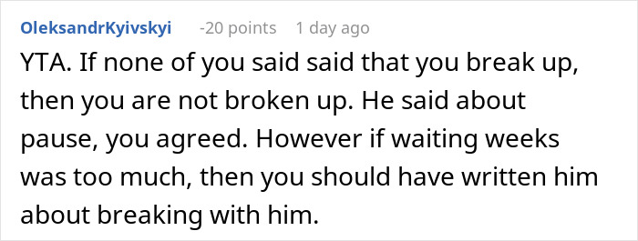 Screenshot of an online comment discussing a man disappearing weeks and partner adopting a dog despite allergies.