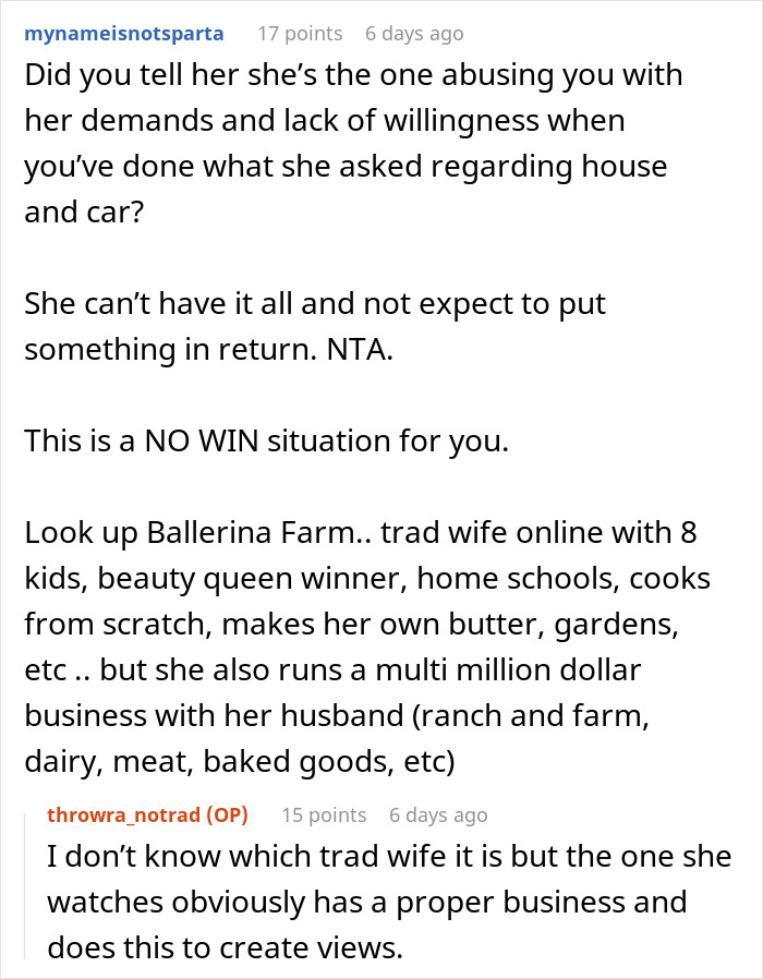 Reddit conversation discussing a tradwife lifestyle with responsibilities, business, and family dynamics.
