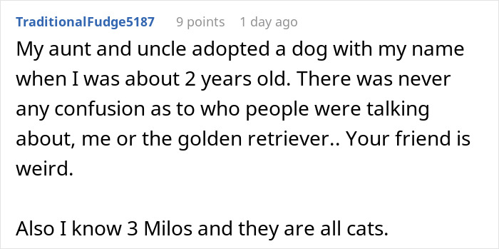 Comment about friend claims cat name newborn, mentioning adopted dog and multiple cats named Milo. Comment about friend claims cat name newborn, mentioning adopted dog and multiple cats named Milo.
