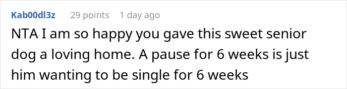 Comment stating happiness about adopting a senior dog while partner disappeared for weeks, causing anger due to allergies.