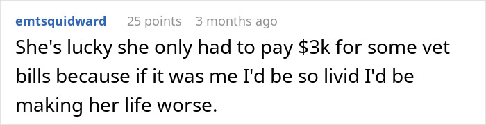 Comment about babysitter refusing to watch one child and mother accusing her of discrimination in an online discussion.