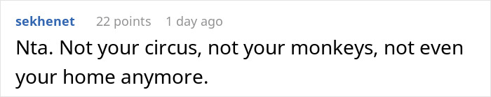 Screenshot of an online comment discussing a teen refusing to be part of a blended family and expectations from the stepmom.