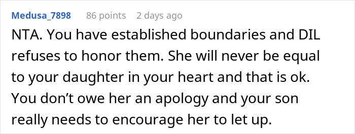 Screenshot of a Reddit comment discussing boundaries and relationship issues between DIL and MIL in a family conflict.