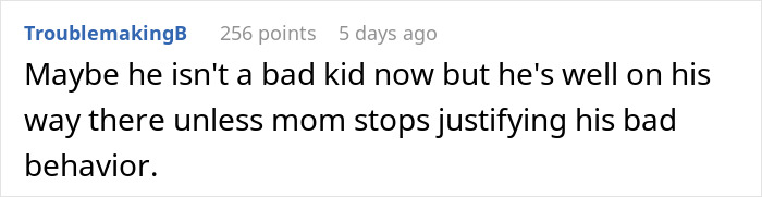 Comment discussing a child’s behavior and the impact of the mother’s justification on his actions after babysitting chaos. Comment discussing a child’s behavior and the impact of the mother’s justification on his actions after babysitting chaos.