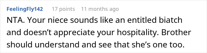 Comment discussing niece asking for $100 to watch 11-year-old son during emergency care situation.