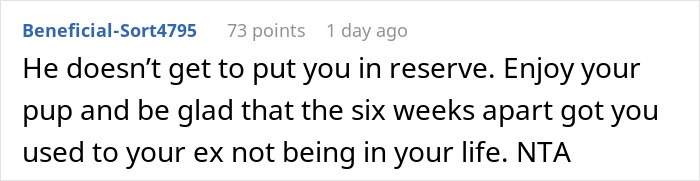 Text excerpt from a forum post discussing a partner adopting a dog despite knowing he&rsquo;s allergic after he disappeared for weeks.