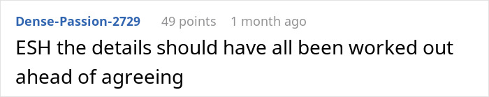 Screenshot of online discussion commenting on couple flying out to babysit nephew while sister refuses payment for flights. Screenshot of online discussion commenting on couple flying out to babysit nephew while sister refuses payment for flights.