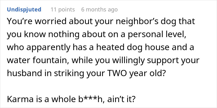 Alt text: User comment about animal control and neighbor&rsquo;s neglected dog dispute with CPS retaliation in online discussion.