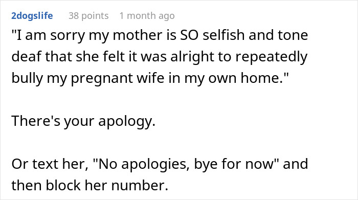 Text comment expressing regret about a selfish mother-in-law bullying pregnant wife at home.