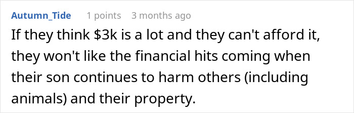 Screenshot of an online comment discussing a babysitter refusing to watch one child and accusations of discrimination.