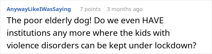 Comment discussing concerns about elderly dog care and kids with violence disorders in lockdown institutions.