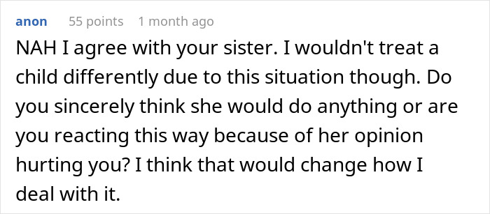 Commenter agreeing with woman shaming brother&rsquo;s surrogacy plans, discussing impact on family and child relationships.