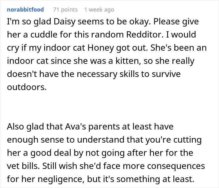 Reddit user discussing concerns about an indoor cat&rsquo;s safety and reflecting on a cat-sitter payment dispute.