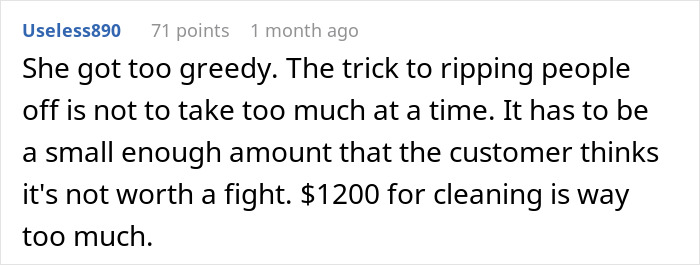Comment discussing $1200 cleaning bill and guest's view on venue host overcharging for cleaning fees.