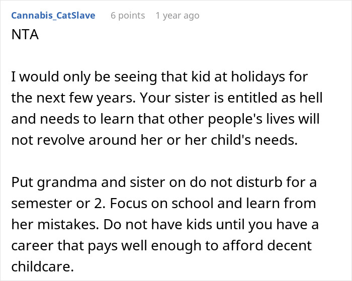 Comment advice on sibling refusing free summer babysitting, discussing entitled behavior and childcare responsibilities online.