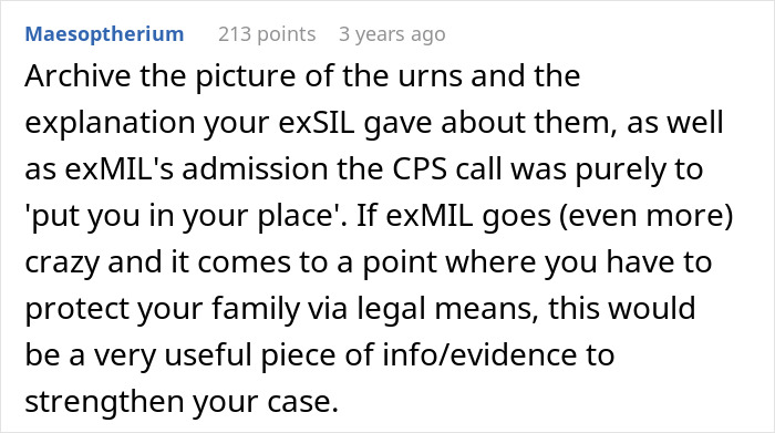 Comment discussing a CPS call related to family conflict and accusations involving a child's tattoo decision.