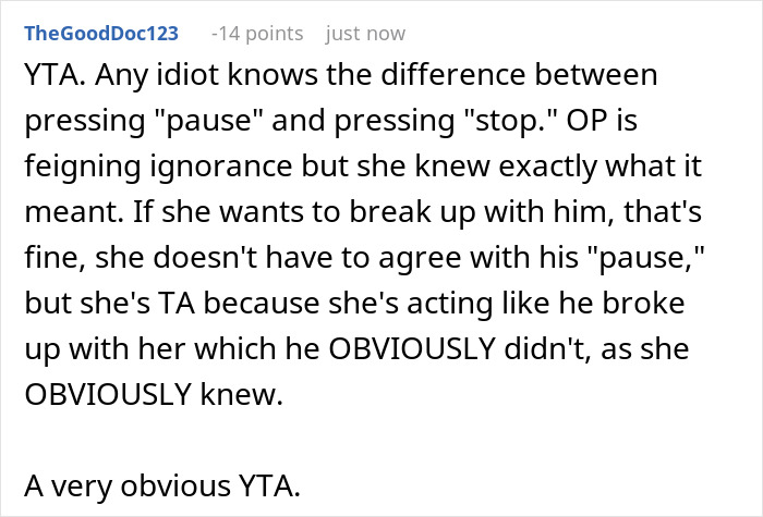 Comment discussing the difference between pressing pause and stop in a relationship argument online.