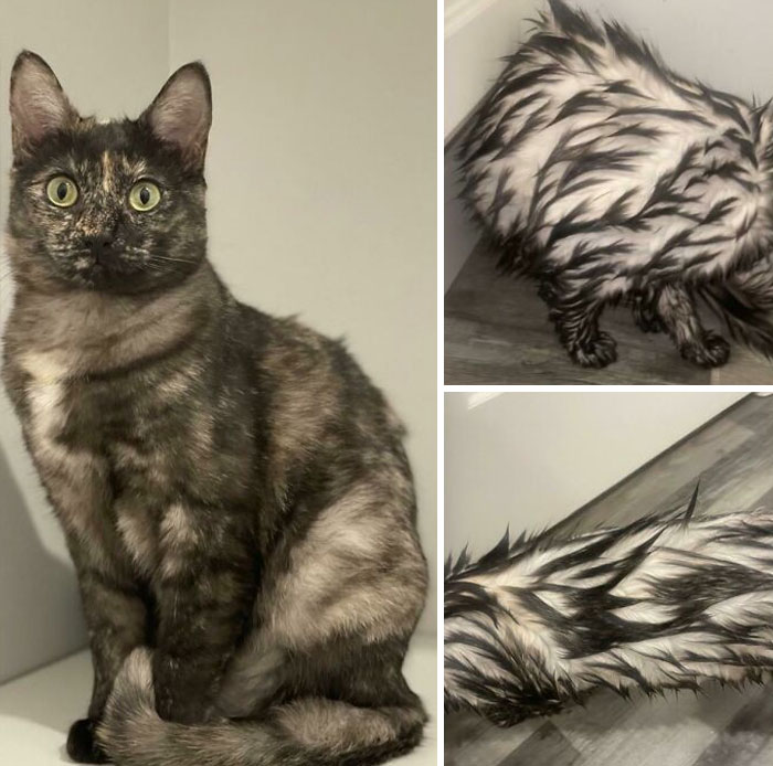 Comparison pics showing a cat and a creative furry art piece capturing variety as the spice of life.